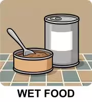 wet food