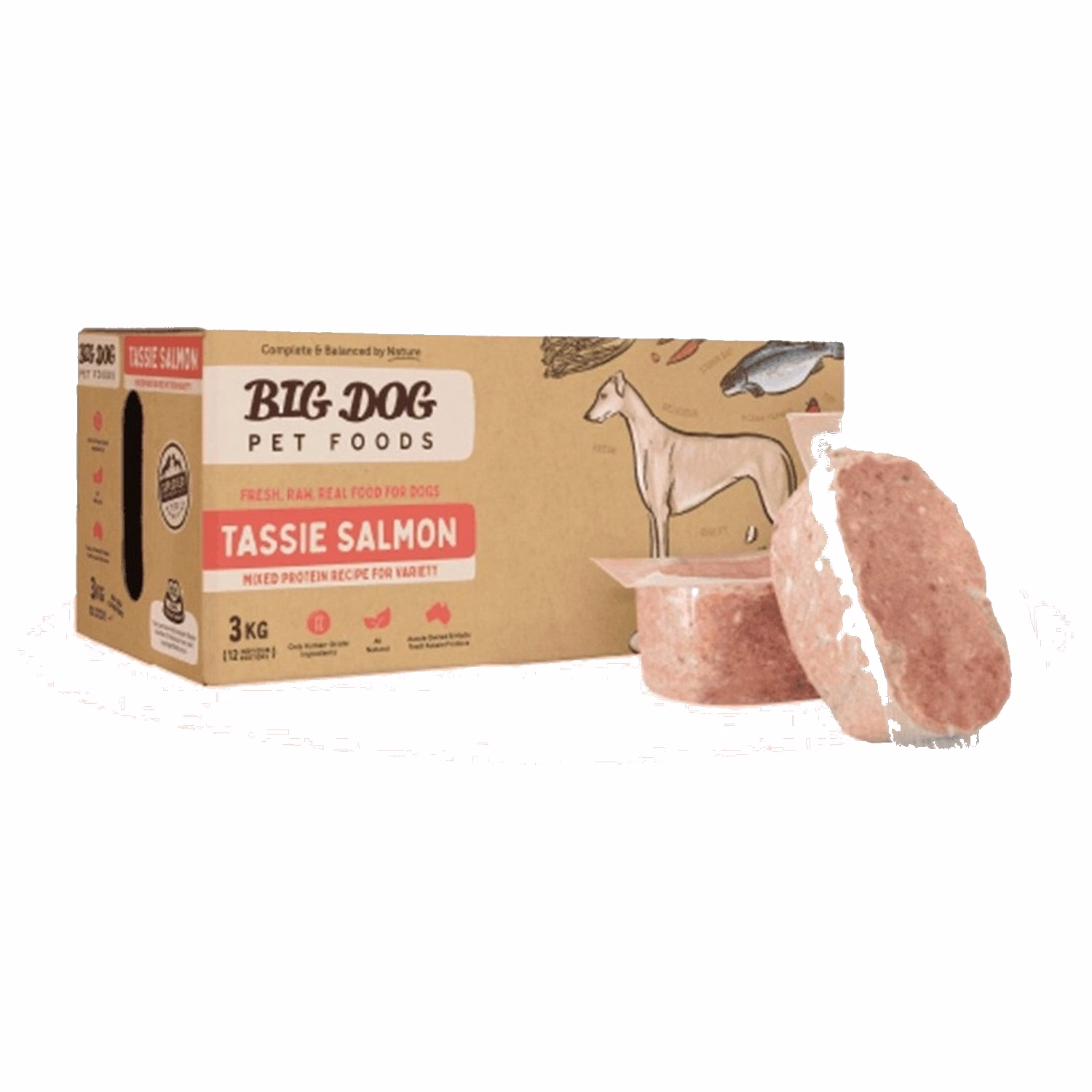 BIG DOG Standard Range Frozen Raw Dog Food - Tasmanian Salmon 3kg