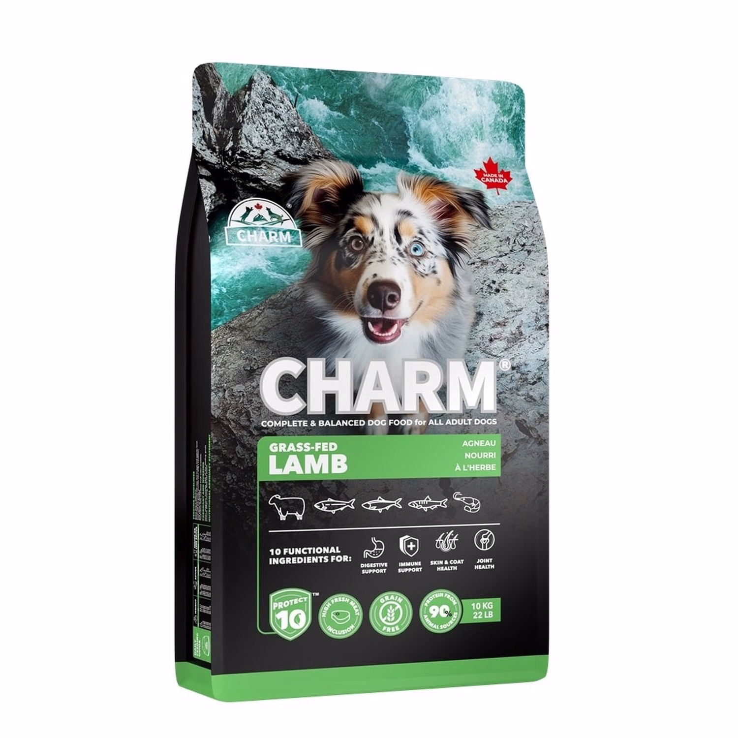 CHARM Dog Food - Grain Free Lamb
