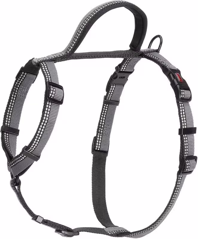 Company of Animals Halti Walking Harness - Black - L