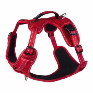 ROGZ Explore Dog Harness - Red (S)