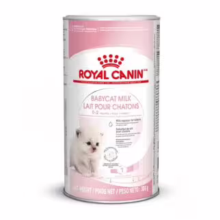 Royal Canin 法國皇家幼貓糧 - 初生貓營養奶粉 300g