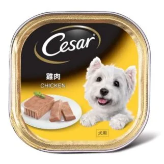 Cesar Dog Wet Food - Chicken 100g