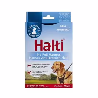 Company of Animals Halti No Pull Harness - Black - M
