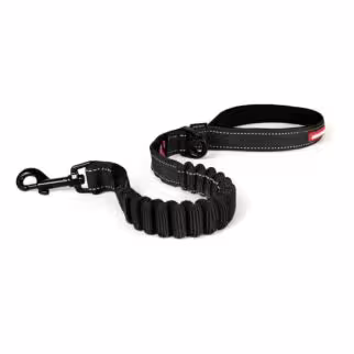 EZYDOG - Zero Shock Leash - Black 25in