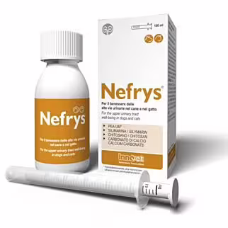 Innovet 意諾膚 – Nefrys 狗與貓上尿路支持補充劑 100ml