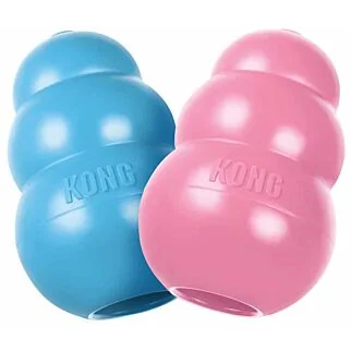 KONG 幼犬葫蘆漏食玩具