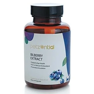 Petzential Bilberry Extract- Eye Health Support for Dogs & Cats (90 capsules)
