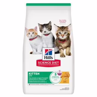Hills Kitten Dry Food - Science Diet Kitten 540g