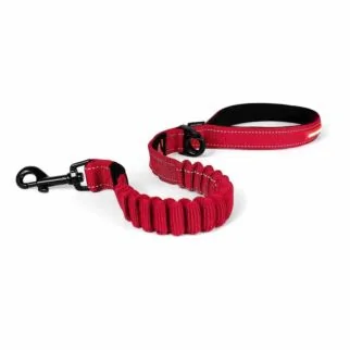 EZYDOG - Zero Shock Leash - Red 25in
