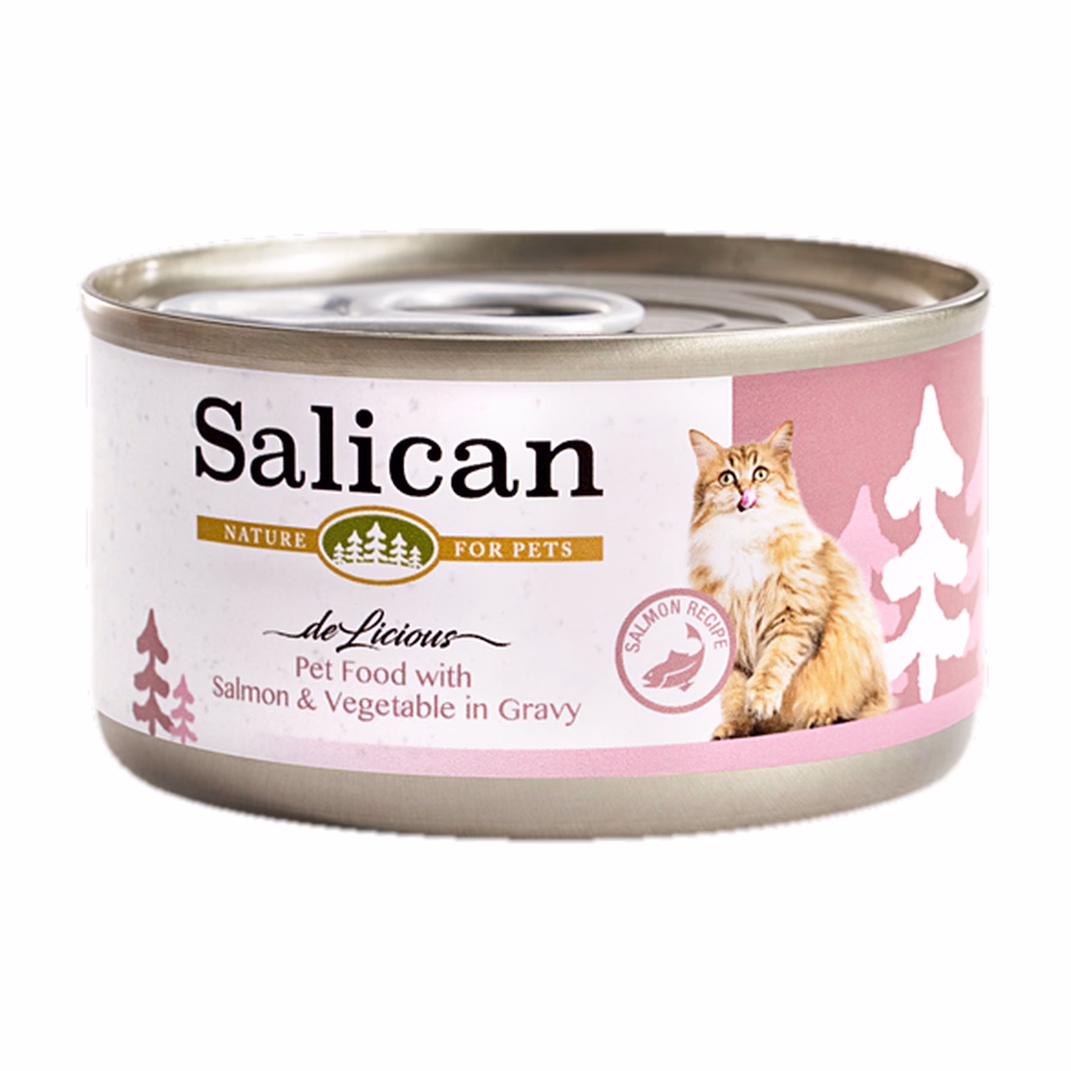 Salican Cat Can - Pet Food with Salmon & Vegetable in Gravy 85g