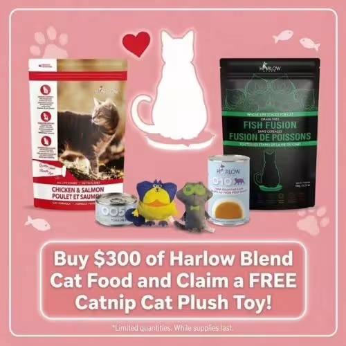 Free Harlow Blend Cat Plush Toy — Buy HK$300 & Claim
