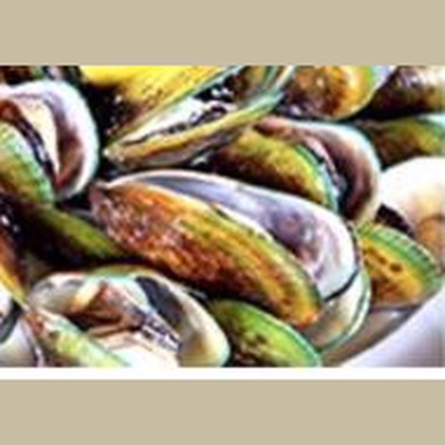 New Zealand green-lipped mussel