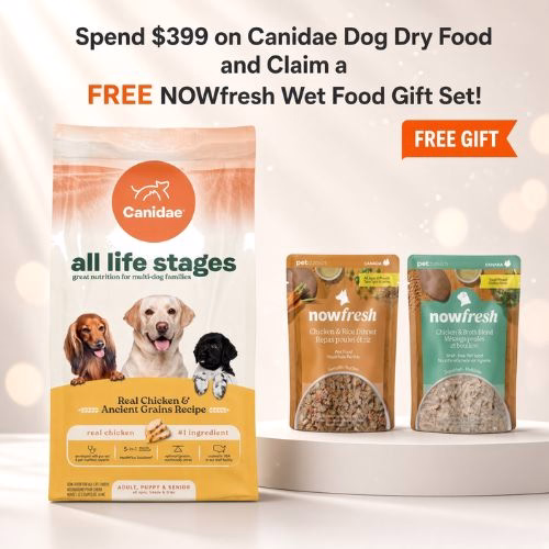 Canidae Free NOWfresh Wef Food Gift Set (EN)