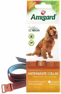 Amigard Antiparasite Flea & Tick Collar for Dogs - 3 Months - 60cm - EXP 31-07-2026