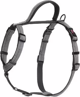 Company of Animals Halti Walking Harness - Black - L