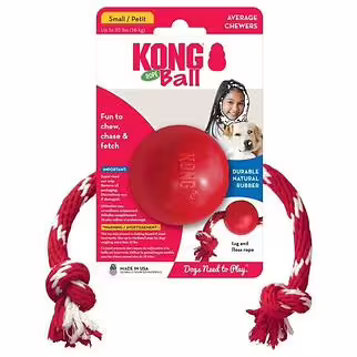 Kong 實心球連繩狗玩具 - Small 細裝