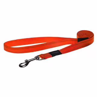 ROGZ Classic Dog Lead - Orange (S)
