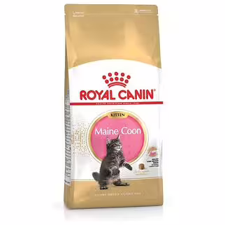 Royal Canin Kitten Food - Maine Coon Kitten