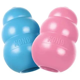 KONG 幼犬葫蘆漏食玩具