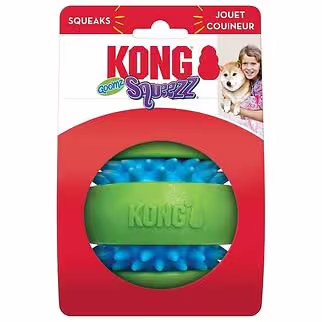 KONG Dog Toy - 吱吱潔齒波