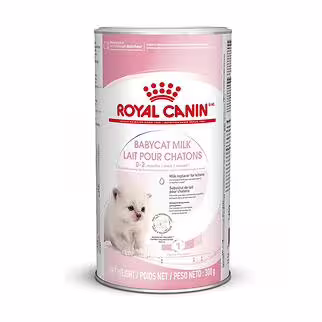 Royal Canin Kitten Food - BabyCat Milk Powder 300g