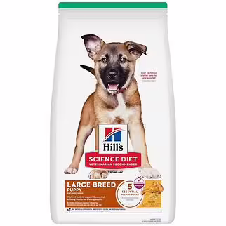 Hills Science Diet Puppy Food -  Large Breed 15kg