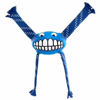 ROGZ Dog Toy - Flossy Grinz - Blue (S)