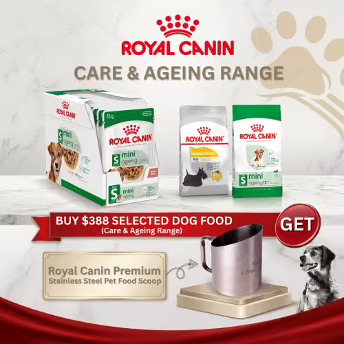 Royal Canin Dog