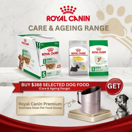 Royal Canin Dog