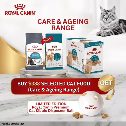 Royal Canin Cat