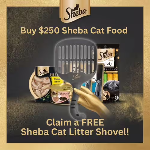 Sheba