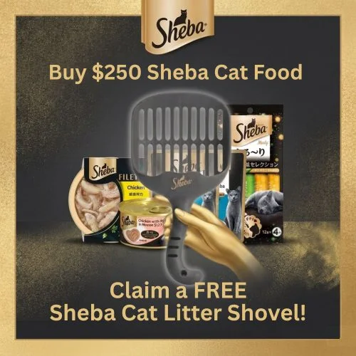 Sheba