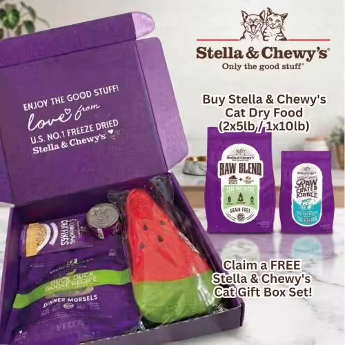Stella & Chewys