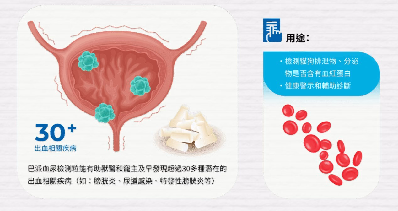 30+出血相關疾病與用途 — 檢測血紅蛋白、健康警示和輔助診斷
