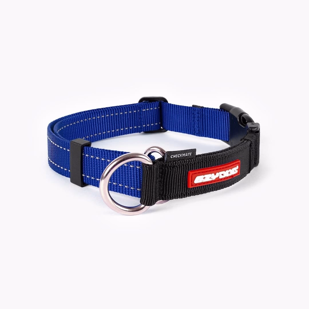 EzyDog Checkmate collar