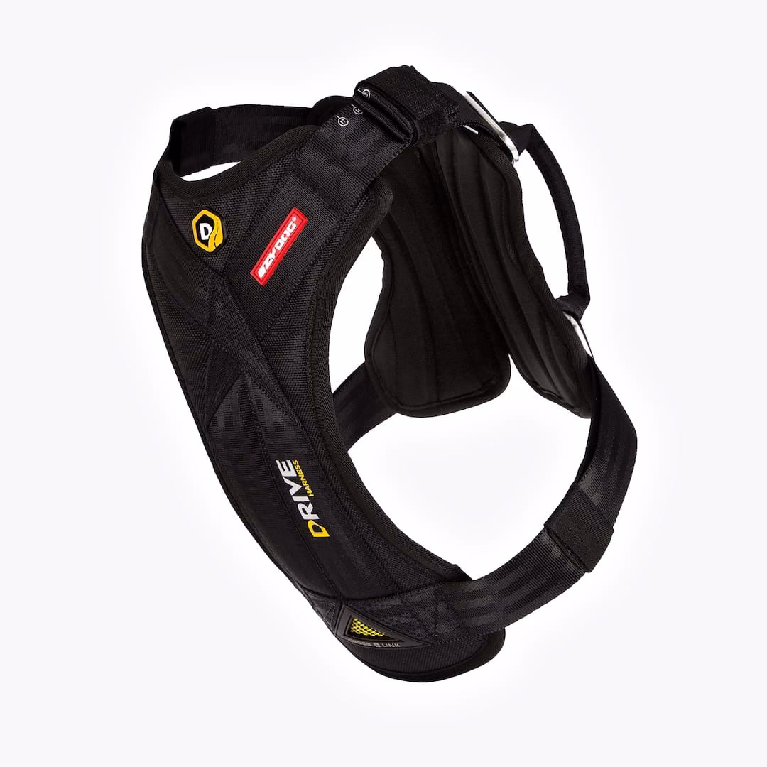 EzyDog Drive car harness