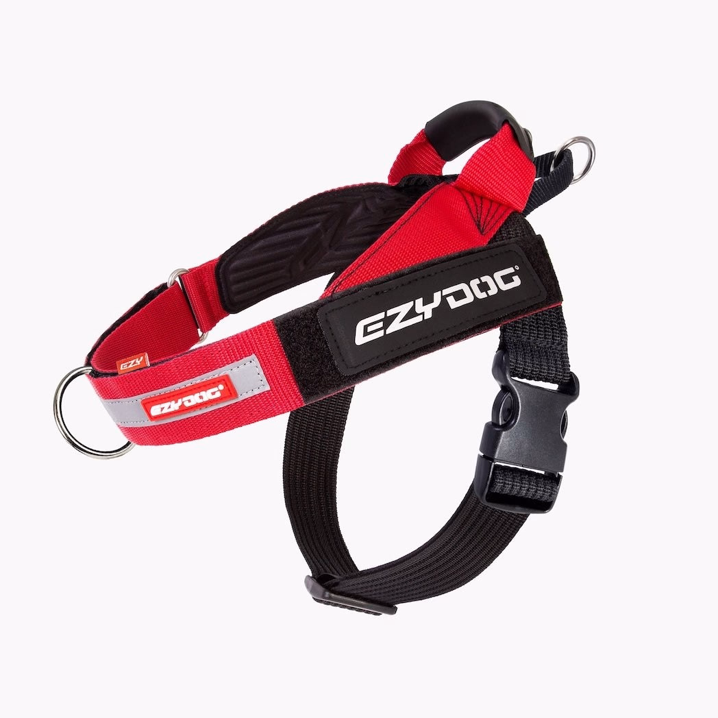 EzyDog Express harness