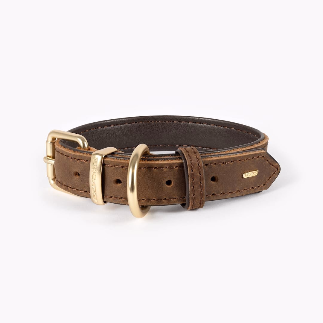EzyDog Oxford leather collar