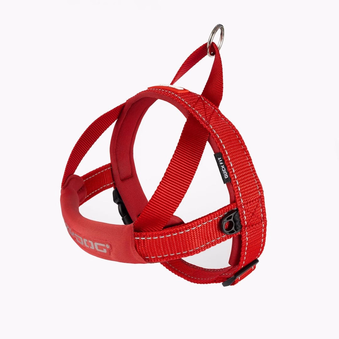 EzyDog Quick Fit harness