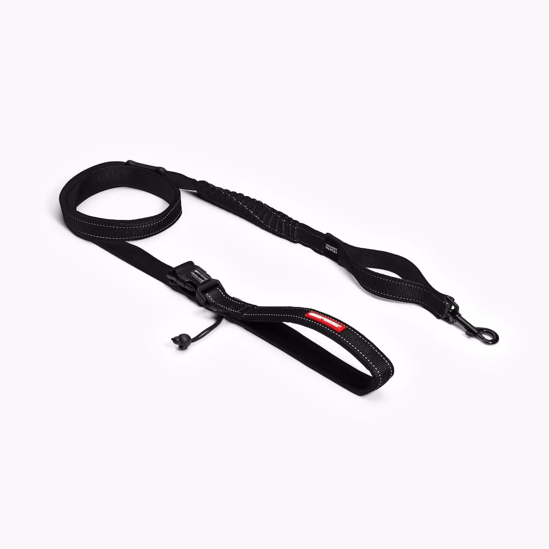 EzyDog Road Runner leash