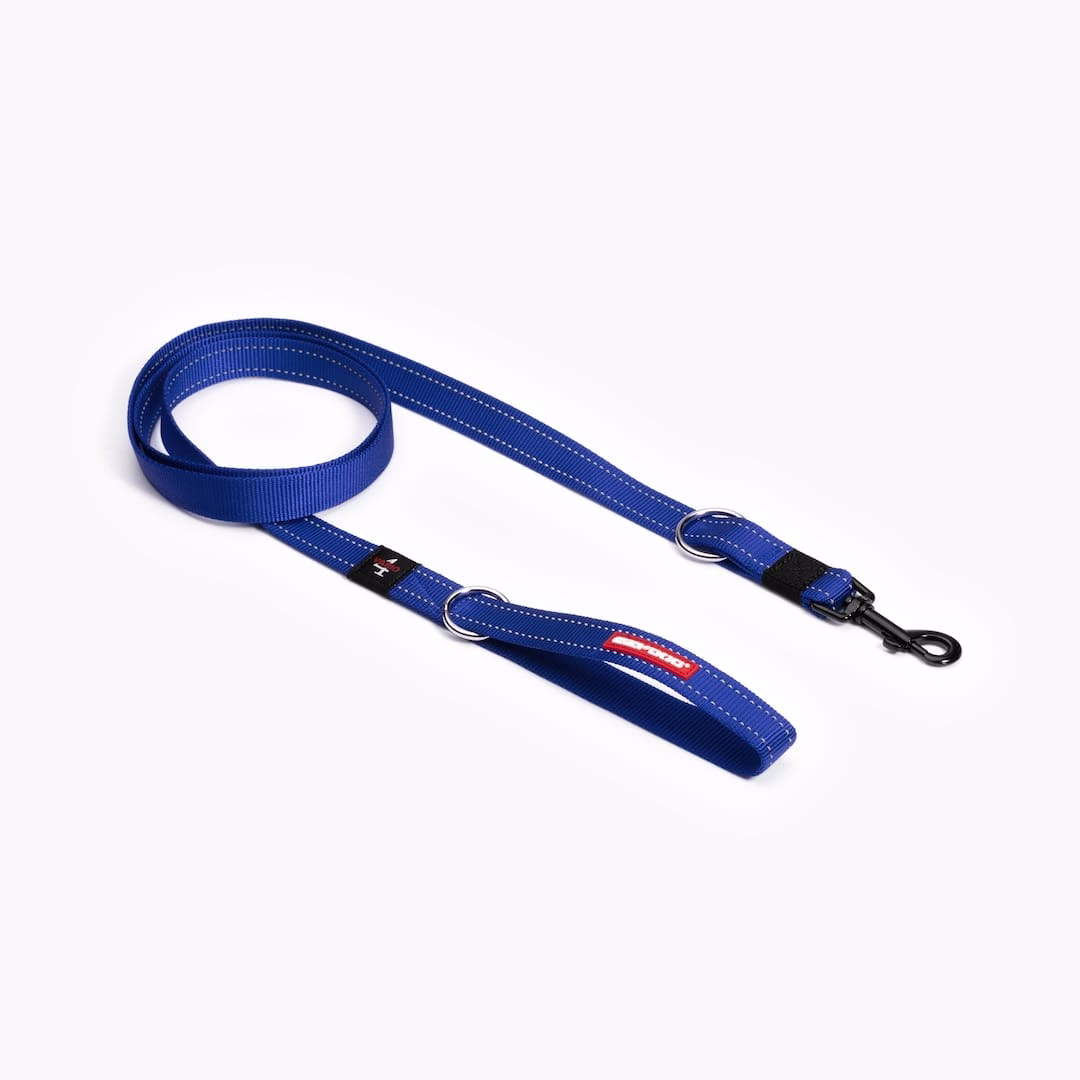 EzyDog Vario 4 leash