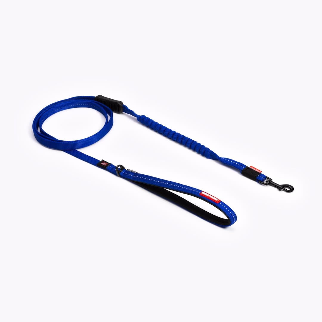 EzyDog Zero Shock Lite leash