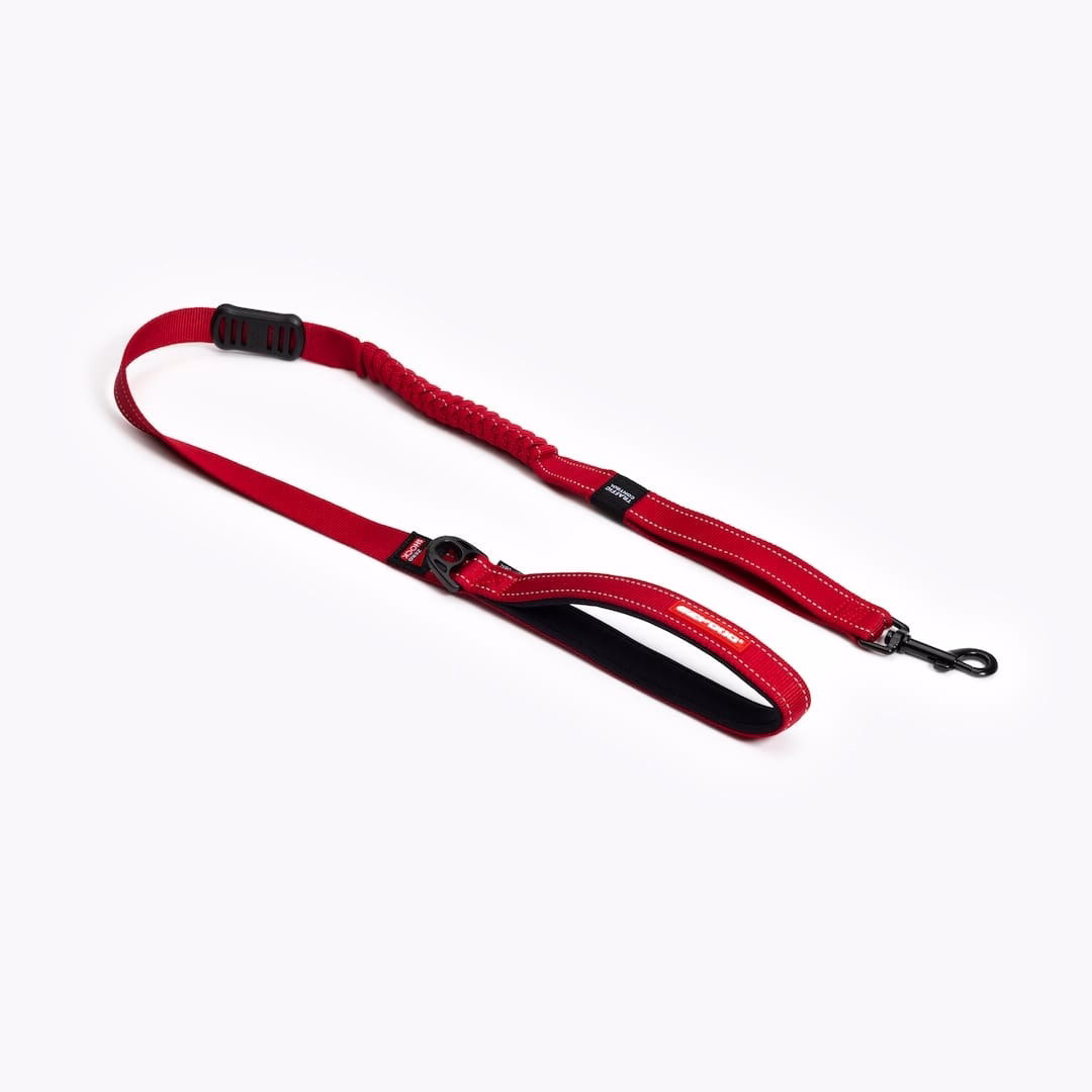 EzyDog Zero Shock leash