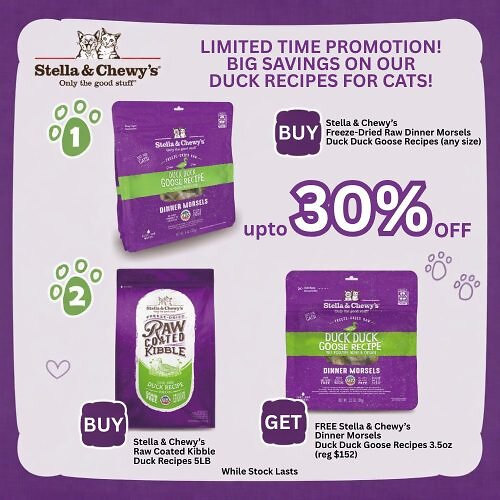 SC-CAT-DUCK-PROMO-EN-500