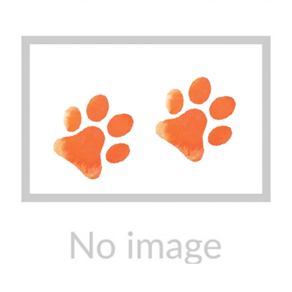 SC-DOG-DUCK-PROMO-EN1-500